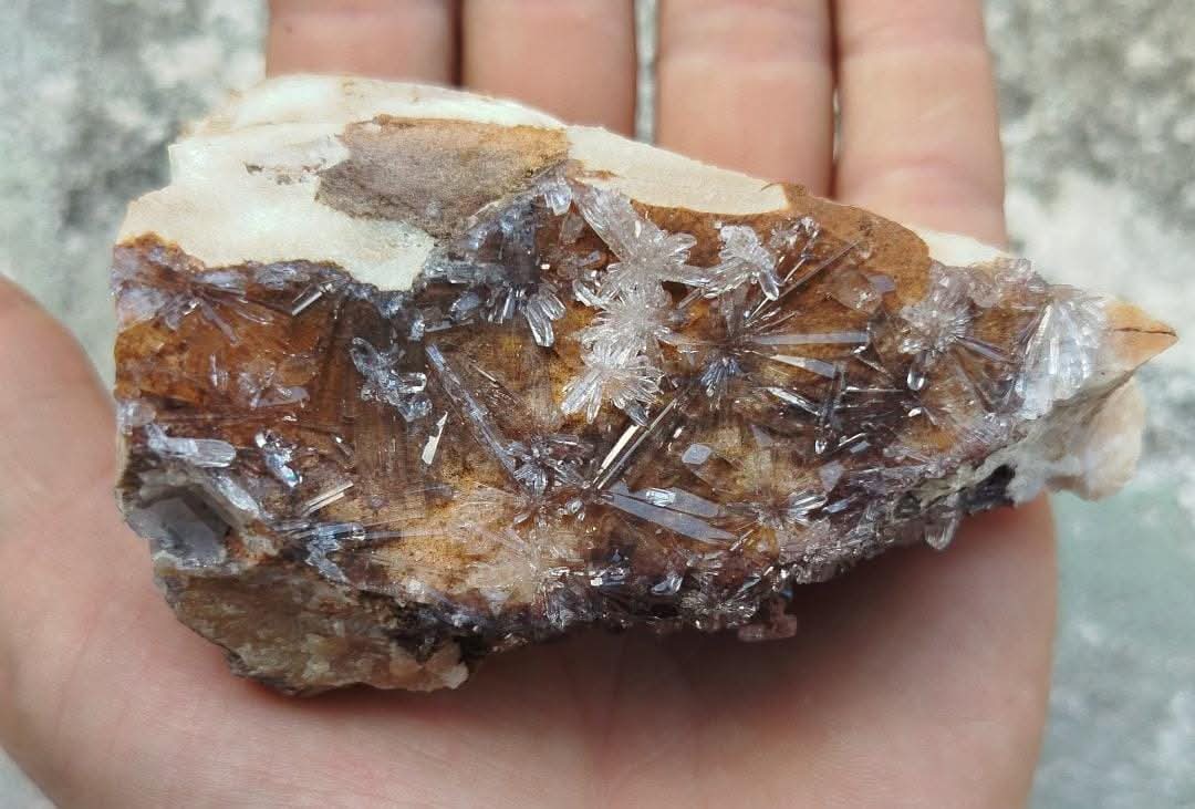 Calcite and Selenite specimen: