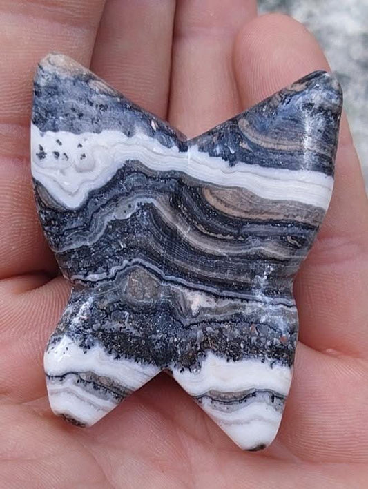 Butterfly in Picasso Jasper.