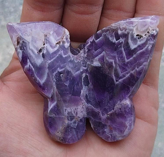 Papillon en améthyste de rêve (ou améthyste chevron).
